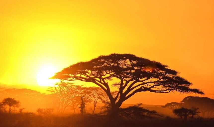 11-Day Luxurious Tanzania and Kenya Safari