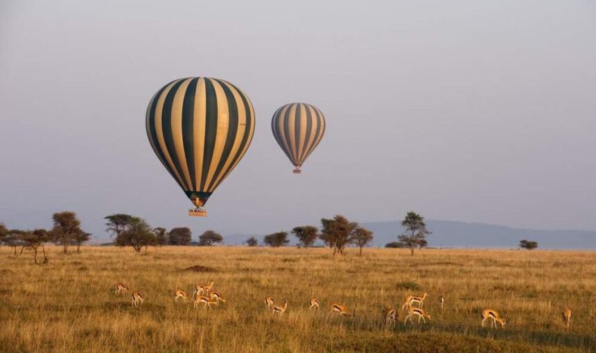 A Thrilling 7-Day Tanzania Safari Adventure