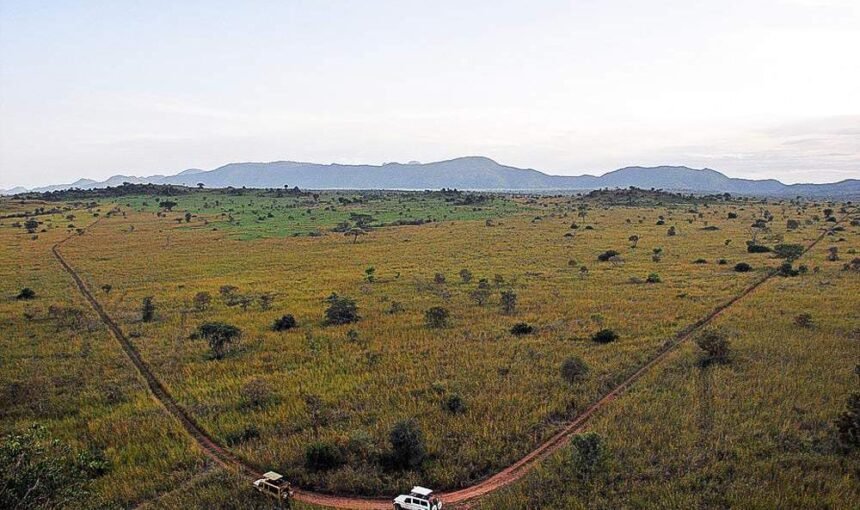 An 3-Day Luxury Safari & Escape